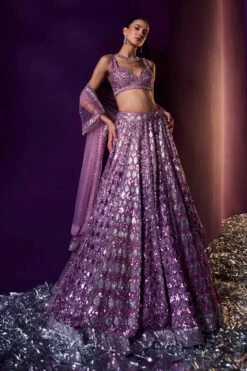 Periwinkle Organza Lehenga Set