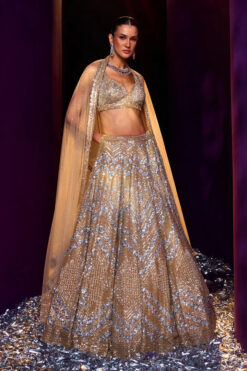 Gold Net Lehenga Set