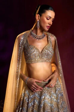 Gold Net Lehenga Set -Lillys Clothing Shop LOOK 7 9682 720x 830ebf59 2c5b 43d2 8d3b 3bf8302a1132