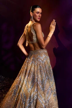Gold Net Lehenga Set -Lillys Clothing Shop LOOK 7 9694 720x c5dad2dc 7153 4682 8b0d 9f3bc4c1bb5c