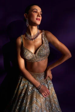 Gold Net Lehenga Set -Lillys Clothing Shop LOOK 7 9702 720x 4acb7728 c705 4bcf aa3a eb16e88d755a