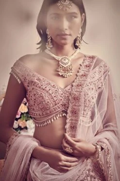 Blush Pink Lehenga -Lillys Clothing Shop LRB 3 2 scaled 1