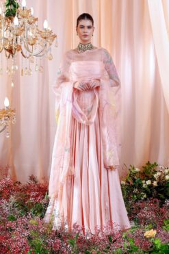 Illeana Pink Shantoon Ruched Anarkali With Dupatta