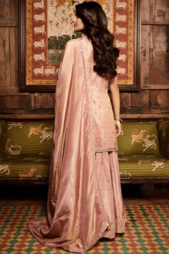 The Rose Tissue Paaro Sharara -Lillys Clothing Shop MSS 390 PINK 02 720x d31e7f10 fa74 4ab4 ad98 e77af6b18445