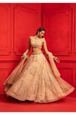 Alaya Beige Net Embroidered Lehenga Set
