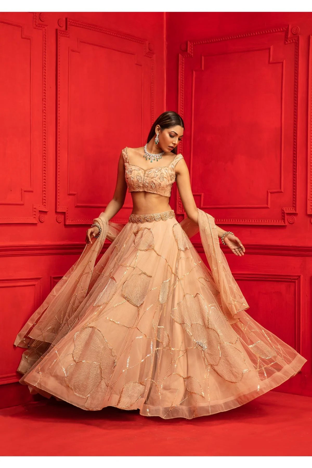 Alaya Beige Net Embroidered Lehenga Set 4 Alaya Beige Net Embroidered Lehenga Set - Image 4