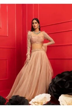 Zoya Beige Organza Lehenga Set