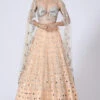 Peach Mirror Embroidered Lehenga Set -Lillys Clothing Shop PSKC062122 1