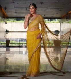 Mustard Net Saree With Red Mirror Blouse