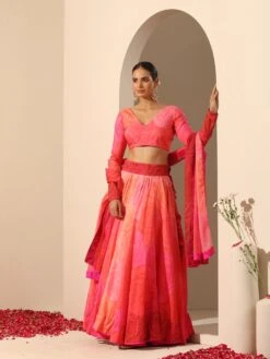 Gul Bahaar Lehenga Set -Lillys Clothing Shop R5268
