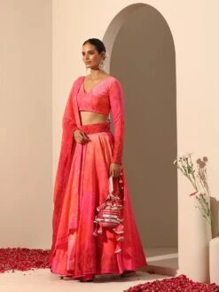 Gul Bahaar Lehenga Set -Lillys Clothing Shop R5285