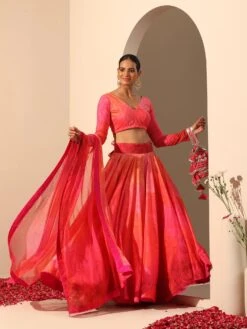 Gul Bahaar Lehenga Set -Lillys Clothing Shop R5294