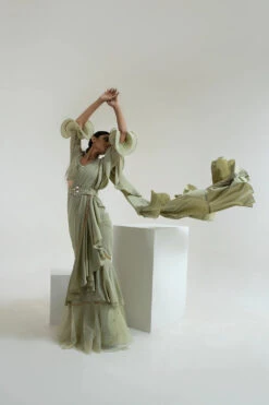 Sage Green Saree -Lillys Clothing Shop SARTHAK0624 1000x1500 aed55a0b 8632 4583 95a1 9536f59b4518