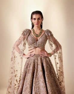 Celestial Gold Lehenga Set