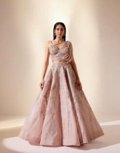 Radiant Coral Lehenga Set