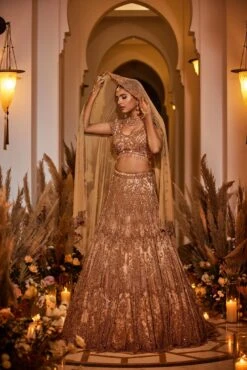 Crystal Queen - Hand Embroidered Lehenga Set -Lillys Clothing Shop SurabhiChopra01stFeb2022 12618 min 1 2d95b050 771d 49bd 8bba 42a951614256