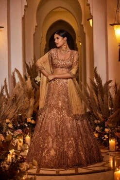 Crystal Queen - Hand Embroidered Lehenga Set -Lillys Clothing Shop SurabhiChopra01stFeb2022 12641 min