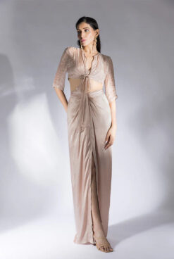 Chikoo Drape Skirt Set With Embroidered Top