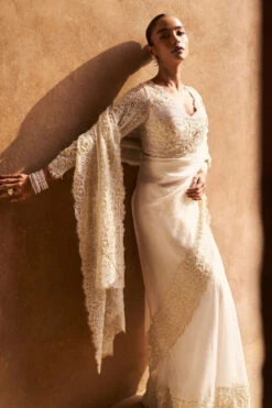 Golden Galaxia Saree Set -Lillys Clothing Shop Untitleddesign 2023 12 08T151302.118