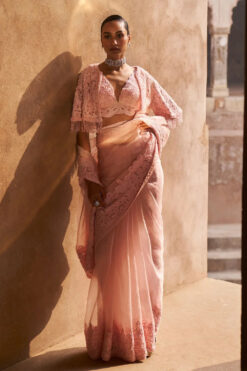 Ethereal Empress Saree And Cape Set