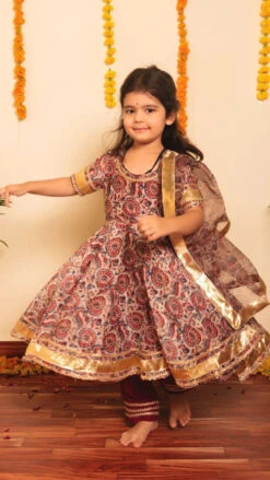 Bachpan Gulbagh Organza Anarkali Set For Girls