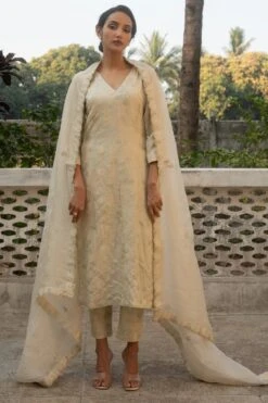 Elegant Kurta And Straight Cut Pants Set