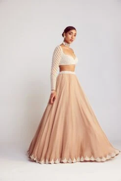 Beige Pearl Chandelier Drop Organza Lehenga Set -Lillys Clothing Shop Vani28.06.233503