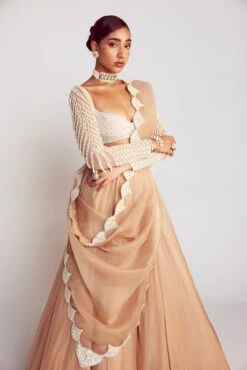 Beige Pearl Chandelier Drop Organza Lehenga Set -Lillys Clothing Shop Vani28.06.233535