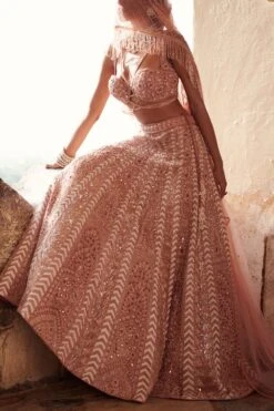 Pale Pink Embroidered Lehenga Set