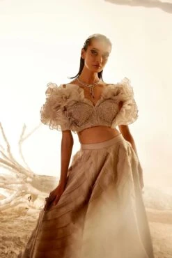 Crush Organza Ruffle Blouse With Layered Skirt -Lillys Clothing Shop adaara26 04 2221242copy