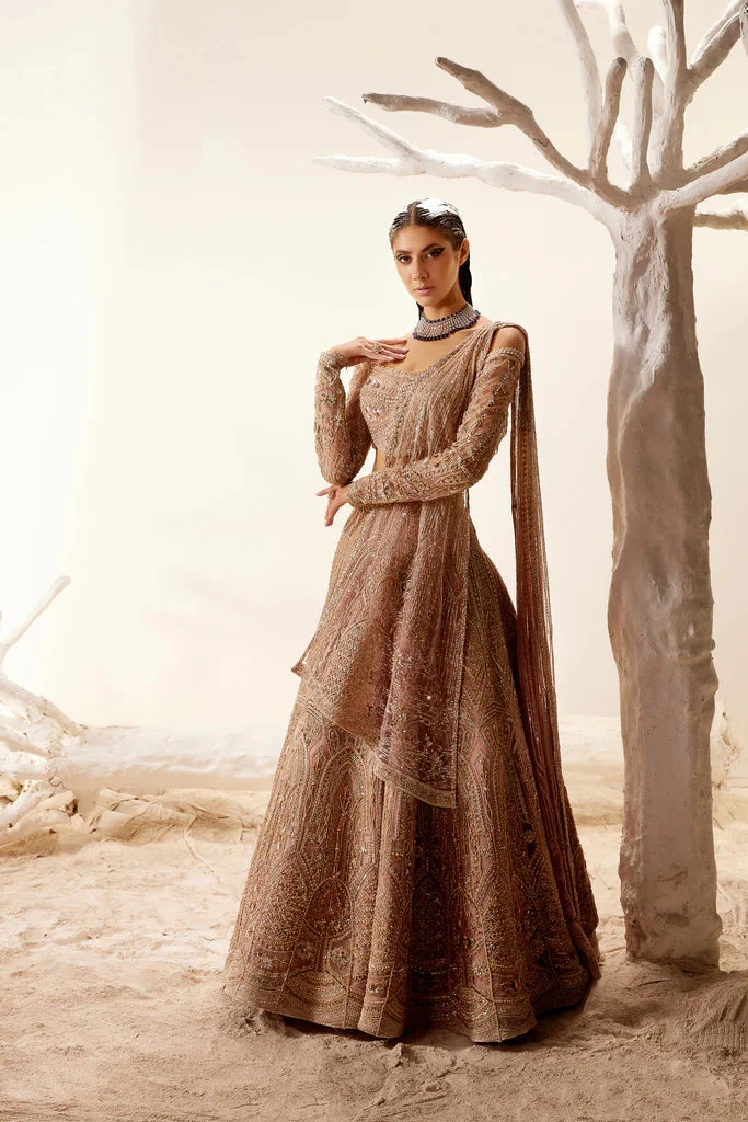 The Moor Arch Lehenga 1 The Moor Arch Lehenga
