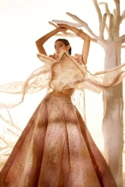 Fairy Dream Top And Skirt -Lillys Clothing Shop adaara26 04 2221694copy