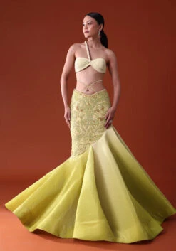 Citrus Green Pre Pleated Fish Cut Skirt And Choker Dupatta Set -Lillys Clothing Shop etet