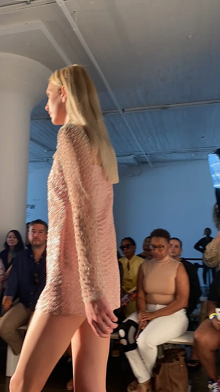 Hand Embroidered Mini Dress With Crystal Bodysuit 8 Hand Embroidered Mini Dress With Crystal Bodysuit - Image 8