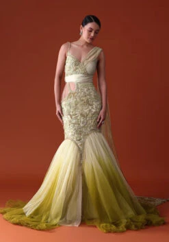 Citrus Green Ombre Fishcut Zardozi Gown Saree -Lillys Clothing Shop fdr