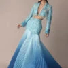 Blue Ombre Organza Fishcut Skirt With Tassel Short Jacket -Lillys Clothing Shop fggrg