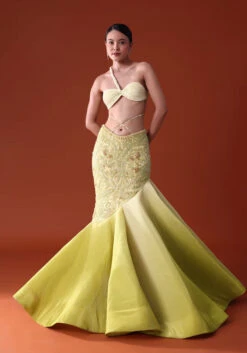 Citrus Green Pre Pleated Fish Cut Skirt And Choker Dupatta Set -Lillys Clothing Shop fyo