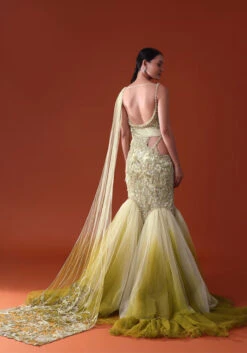 Citrus Green Ombre Fishcut Zardozi Gown Saree -Lillys Clothing Shop hfgd