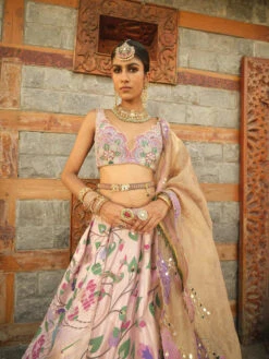 Pink Zari Woven Paithani Lehnga 5 Pink Zari Woven Paithani Lehnga -Lillys Clothing Shop image 42e75cea f2f0 4bbb acee 1e83521e9fda