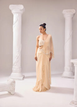 A- Symmetrical Drape Saree