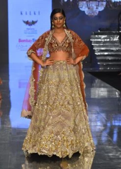 Mocha Brown Bridal Lehenga In Velvet With Heavy Embroidery
