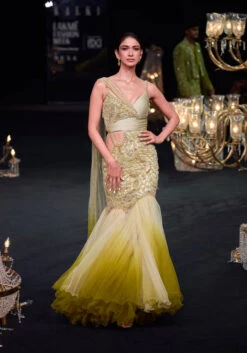 Citrus Green Ombre Fishcut Zardozi Gown Saree