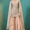 Nude Foil Applique Net Kurta Sharara
