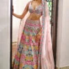 Pink Multicolor Applique Lehenga