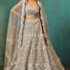 Taupe Net Silver Foil Applique Lehenga -Lillys Clothing Shop ms taupe slvr lhnga 3pc 1 1