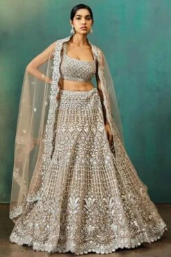 Taupe Net Silver Foil Applique Lehenga
