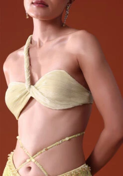 Citrus Green Pre Pleated Fish Cut Skirt And Choker Dupatta Set -Lillys Clothing Shop rduuru