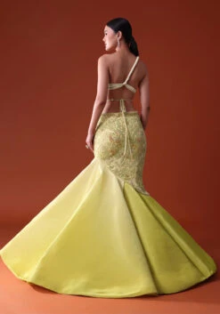 Citrus Green Pre Pleated Fish Cut Skirt And Choker Dupatta Set -Lillys Clothing Shop rssg