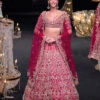 Pink Raw Silk 16 Kali Lehenga And 3D Pearl Embellished Blouse Set -Lillys Clothing Shop sesgee