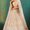 Pastel Applique Highlight Lehenga -Lillys Clothing Shop shr applq pj lhnga 3pc 1
